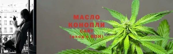 индика Михайлов