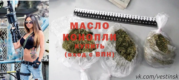 индика Михайлов