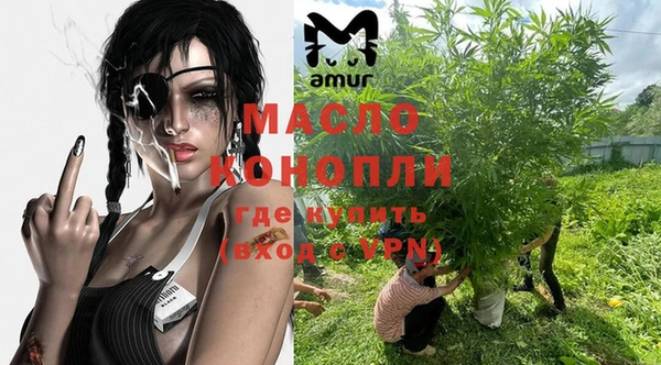индика Михайлов