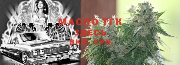 индика Михайлов