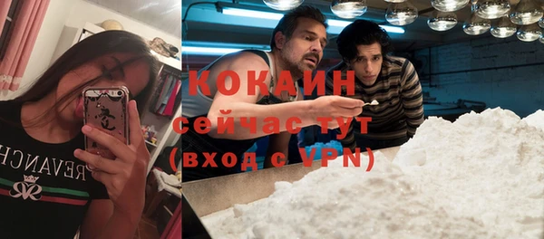 индика Михайлов
