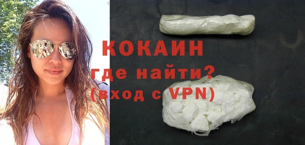 индика Михайлов