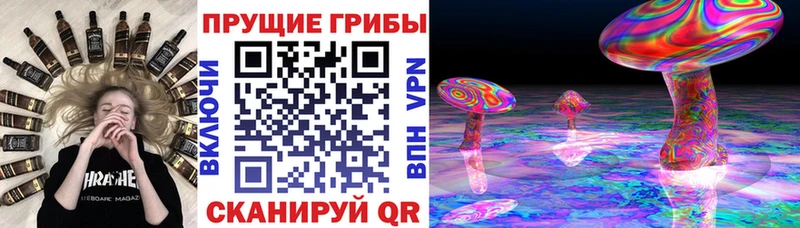 Галлюциногенные грибы мухоморы  mega ссылки  Краснодар 