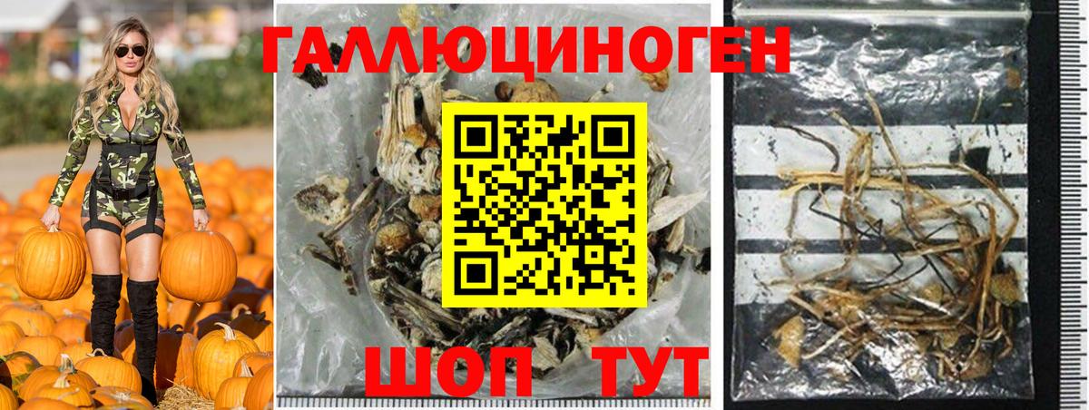 Галлюциногенные грибы MAGIC MUSHROOMS Краснодар